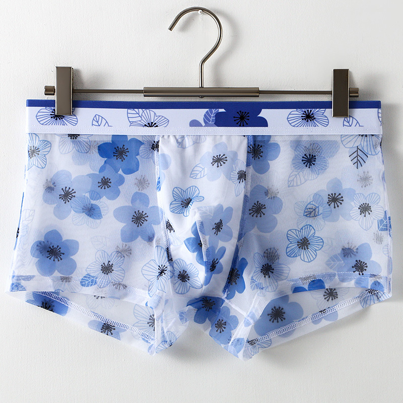 Ultra Thin Transparent Ice Sil - Mesh Sport Boxer のレビューと価格