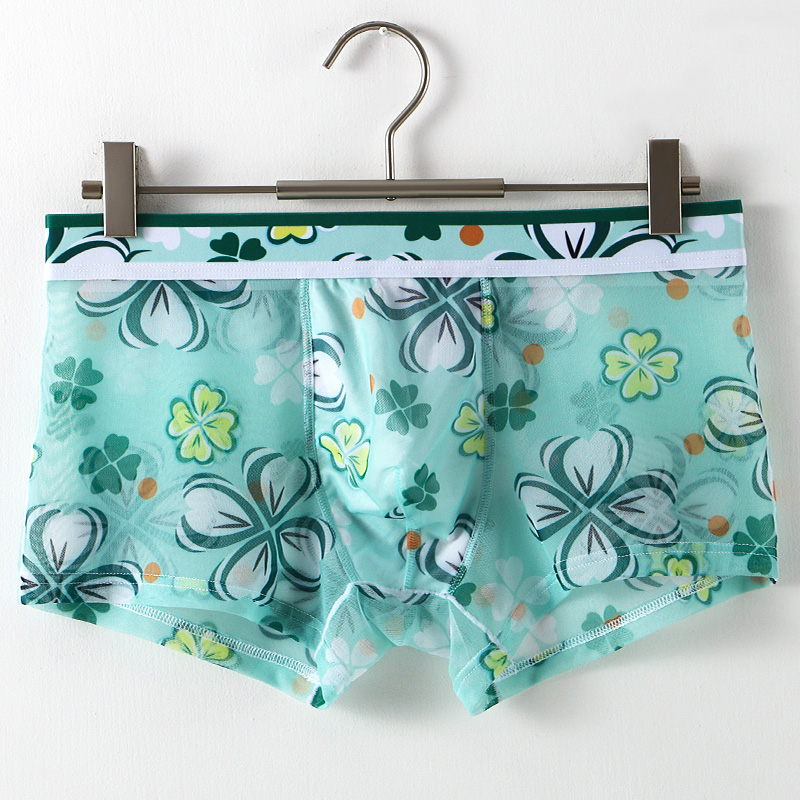 Ultra Thin Transparent Ice Sil - Mesh Sport Boxer のレビューと価格