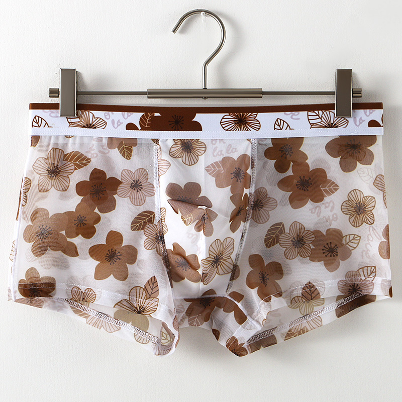 Ultra Thin Transparent Ice Sil - Mesh Sport Boxer のレビューと価格