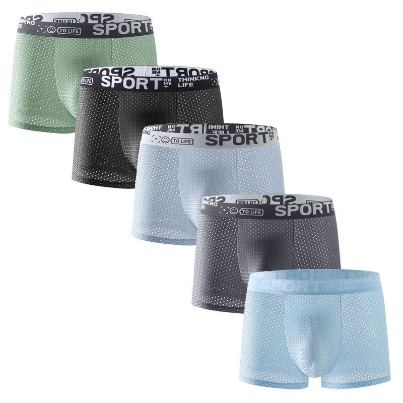 5PCS Men's Ice Silk Mesh Boxer - Mesh Sport Boxer のレビューと価格