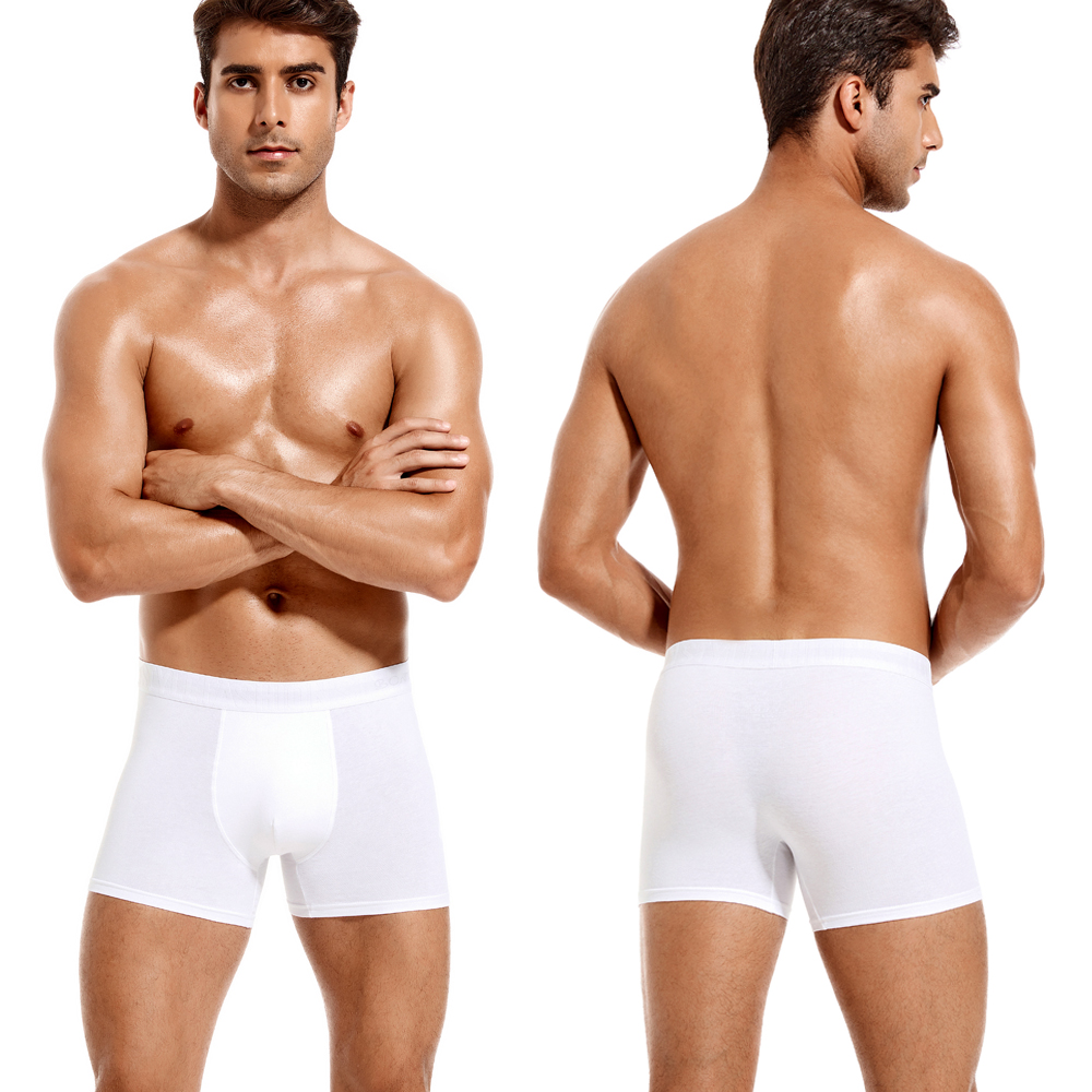 6Pcs White Boxers Man Sexy Und - Boxer Brief Pack Cotton のレビューと価格
