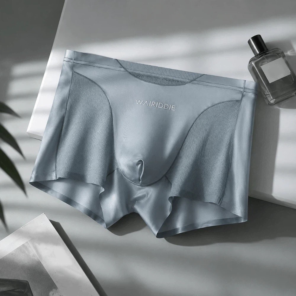 Simple Mesh Ice Silk Underwear - Mesh Sport Boxer のレビューと価格